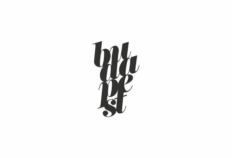 Logo or illustration 13